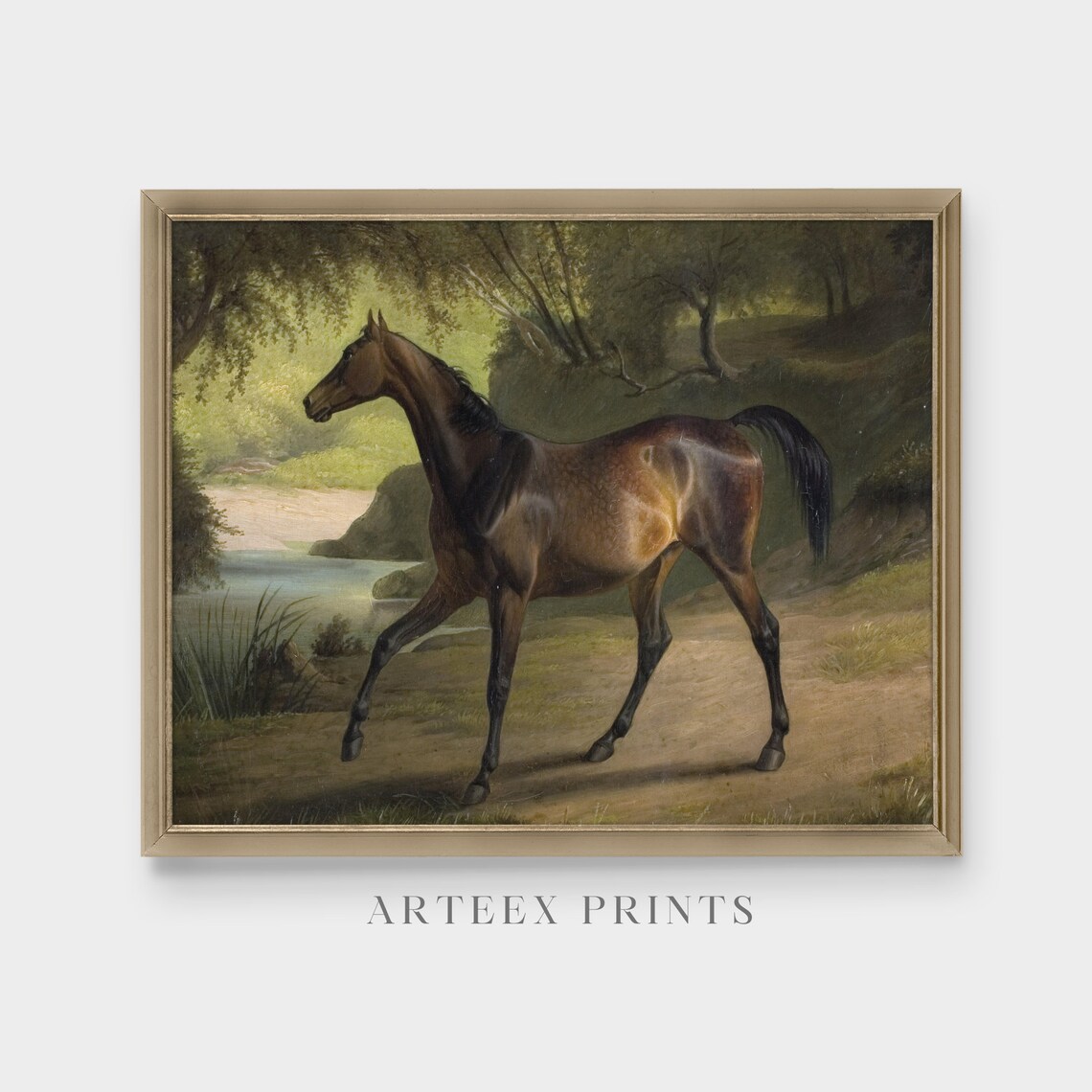 Bay Horse Trotting Beside a Shaded Woodland Stream Painting Poster - Image 3