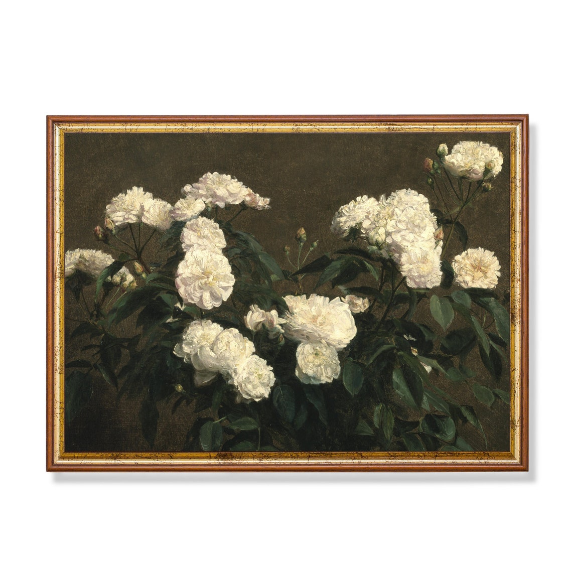 White Roses Against a Dark Olive Ground Still Life Oil Poster