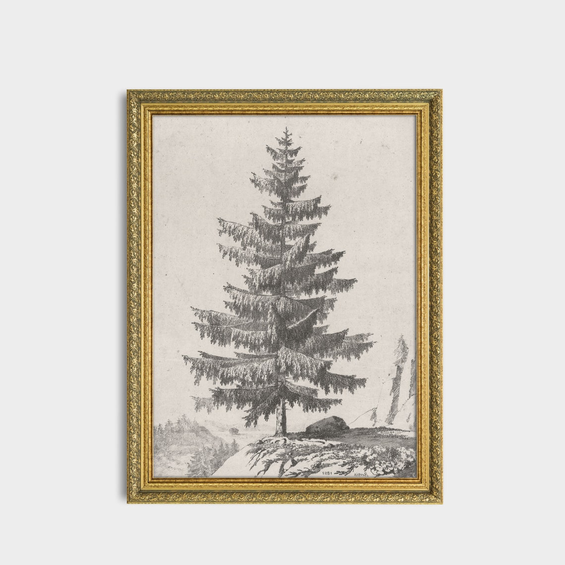 Vintage Sketch Drawing Antique Tree Rustic Print Wall Art Farmhouse Decor Fine Art Print Neutral Art - Image 2