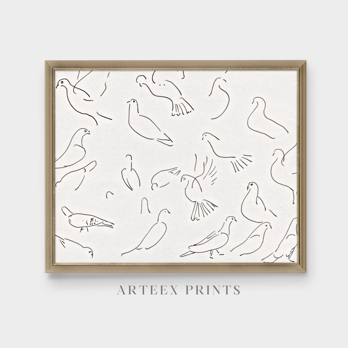 Pigeon Studies Antique Bird Sketch Minimalist Line Drawing Poster - Image 4