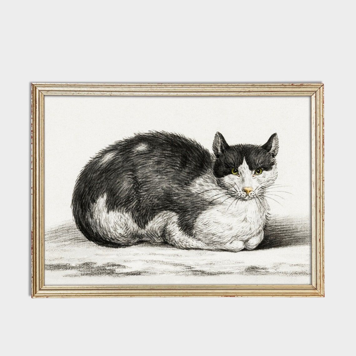 Vintage Black and White Cat Sketch Drawing Resting Loaf Wall Art - Image 2