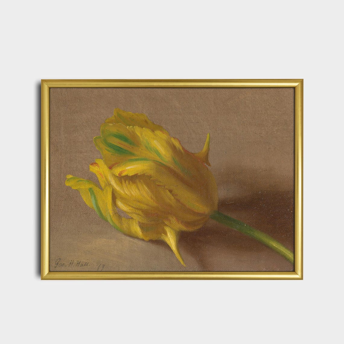 Single Golden Yellow Tulip Bloom Botanical Still Life Study Poster - Image 2