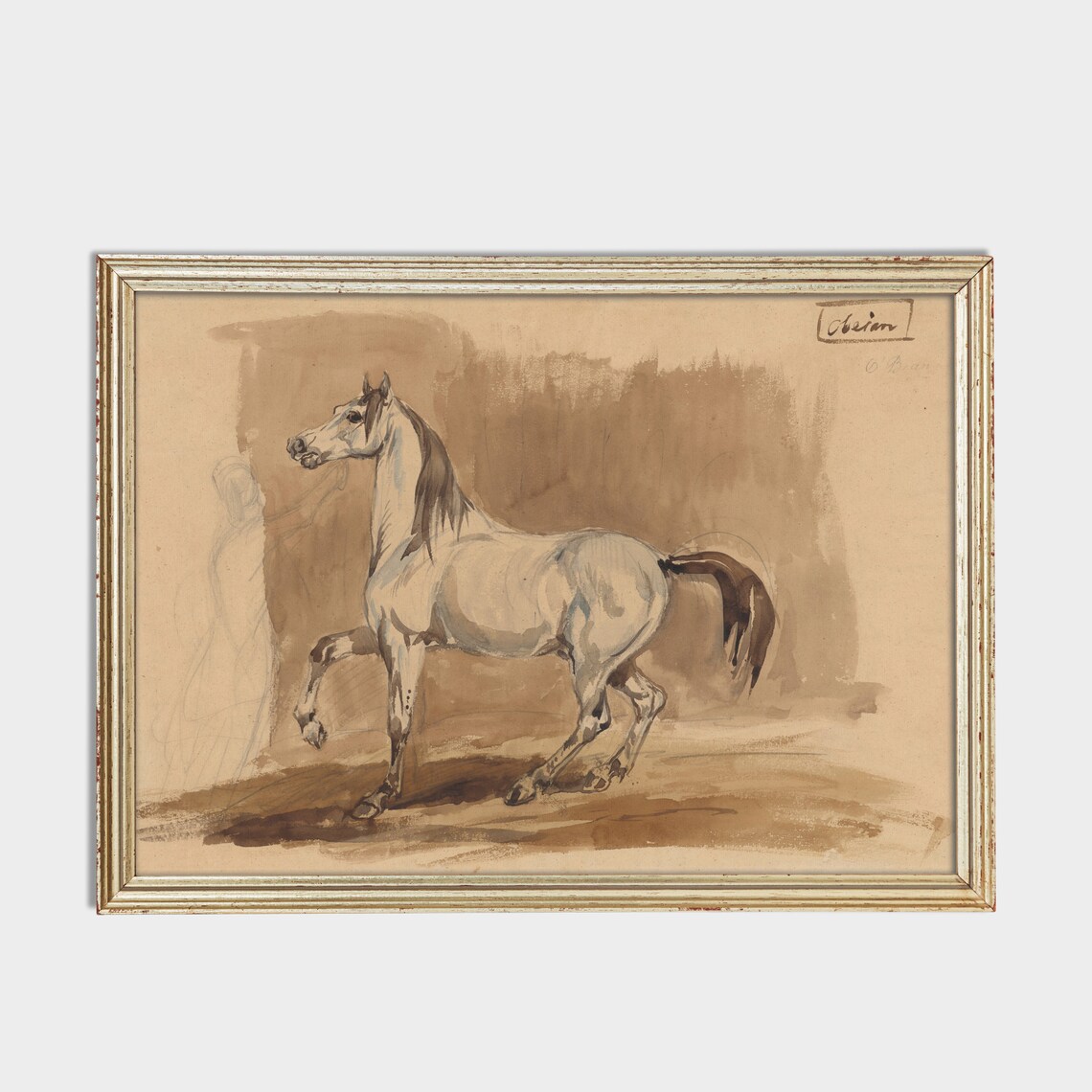 Grey Arabian Horse Prancing in Watercolor Study Equestrian Poster - Image 4