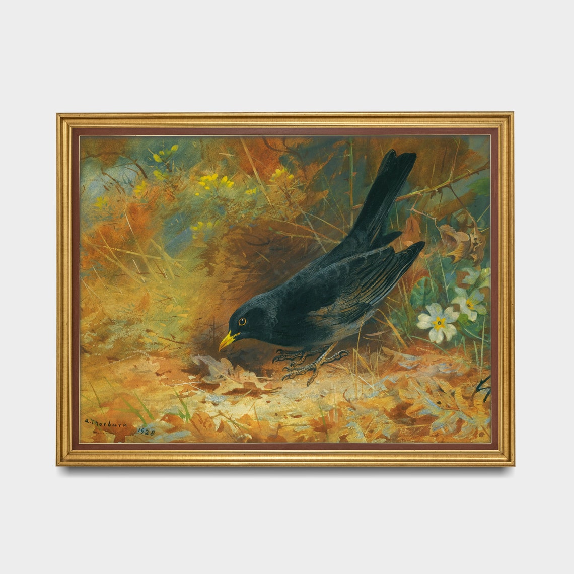 Eurasian Blackbird Foraging Among Fallen Autumn Leaves Poster - Image 3