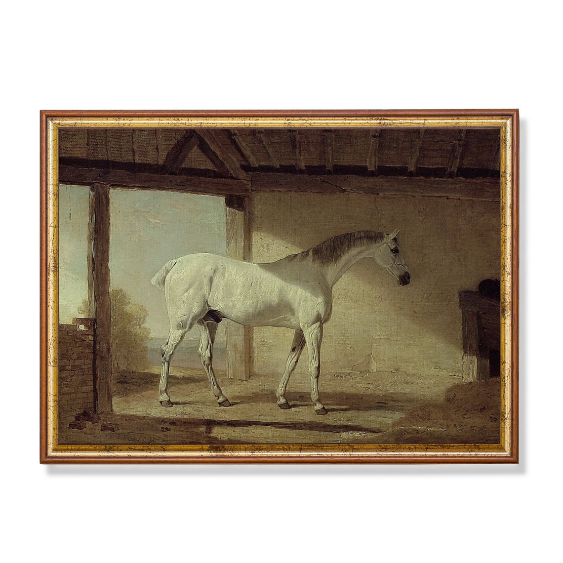 White Horse Resting Under an Open Timber Shed Painting Poster