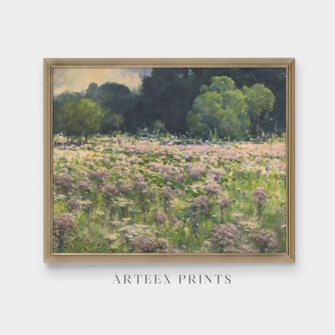 Sunlit Wildflower Meadow with Tall Blossoms Landscape Poster - Image 5