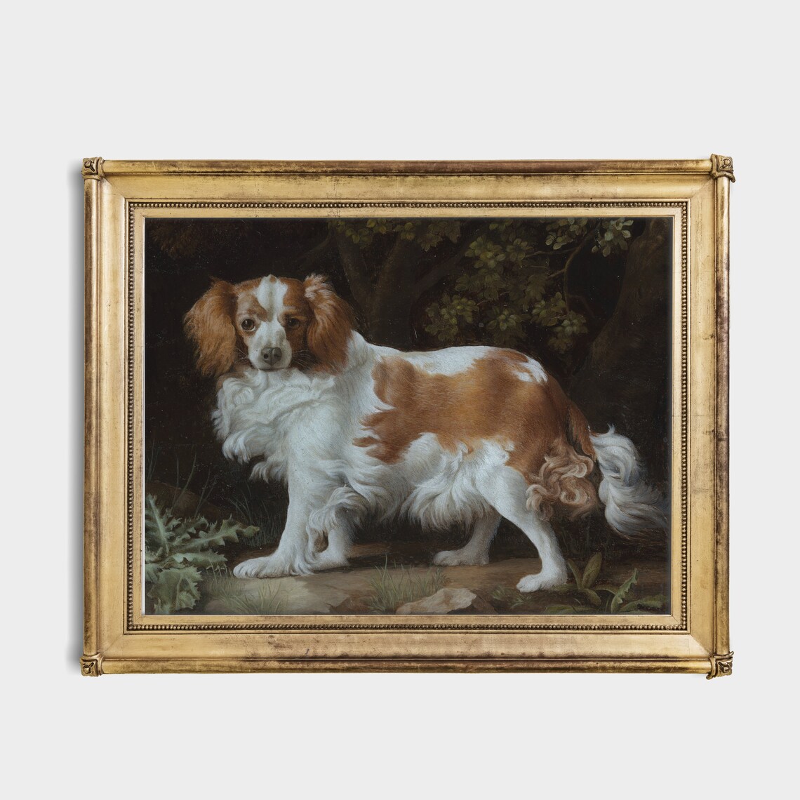Vintage Spaniel Dog Portrait in a Dark Woodland Setting Poster - Image 3