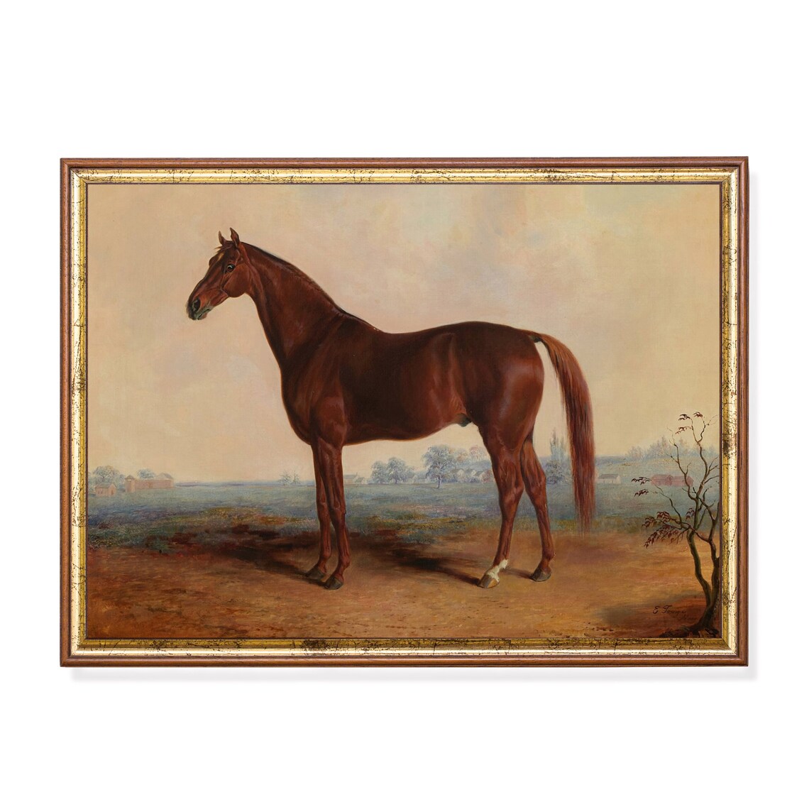 Chestnut Horse Standing in a Field Vintage Equestrian Poster
