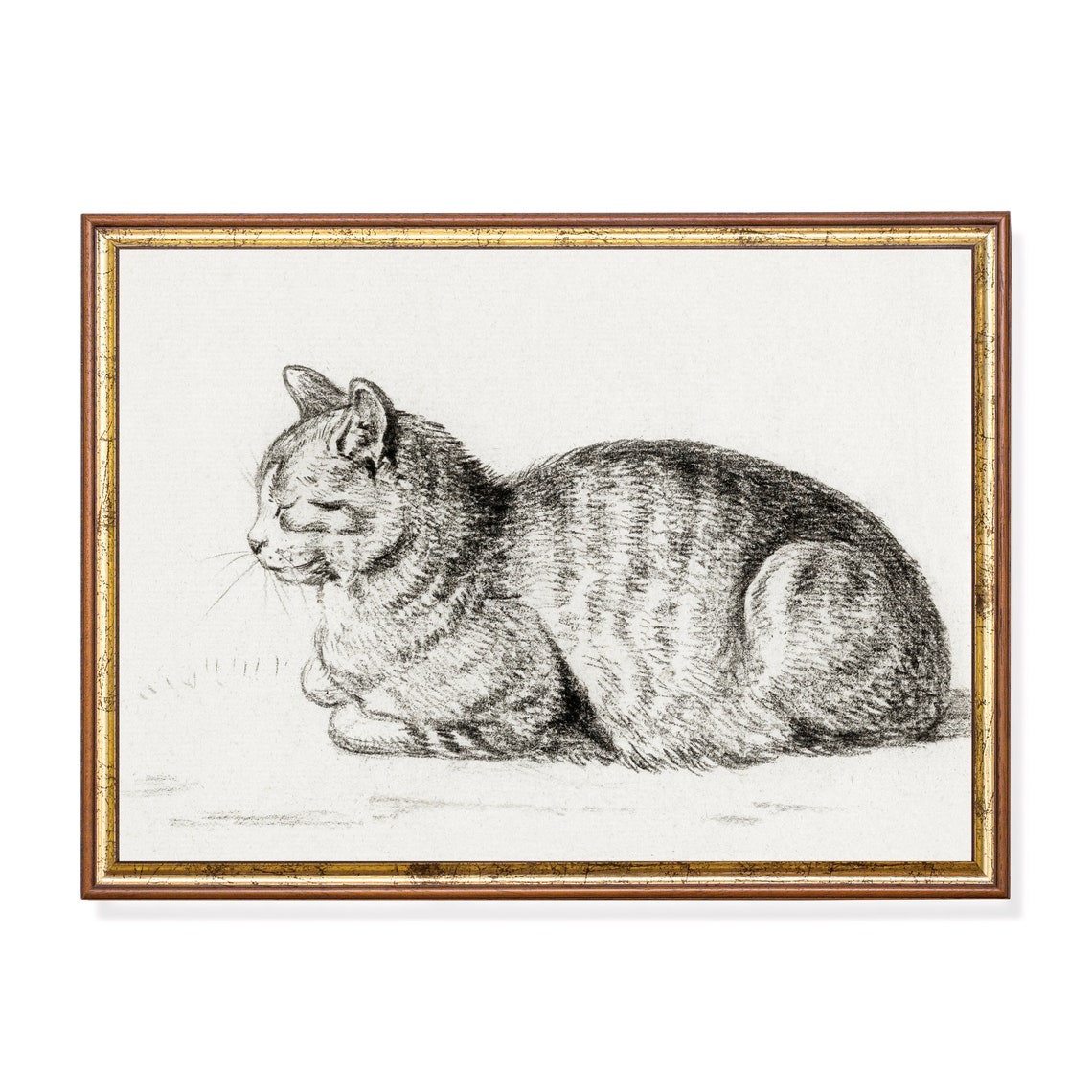 Vintage Charcoal Sketch of a Sleeping Tabby Cat in a Loaf Pose Poster