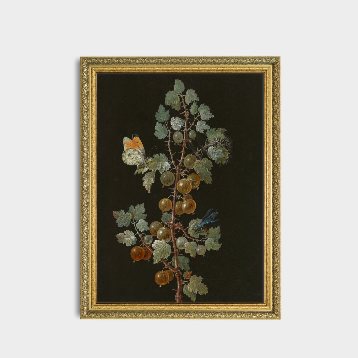 Gooseberry Branch With a Butterfly Botanical Still Life Art Print - Image 3