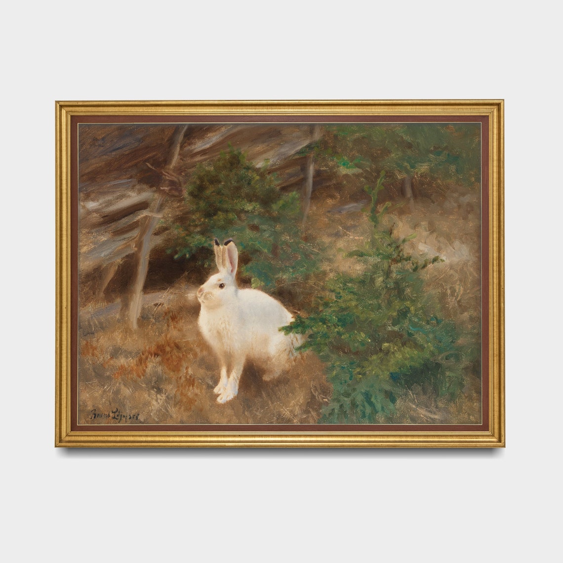 White Mountain Hare in a Forest Clearing Vintage Wildlife Art Poster - Image 3