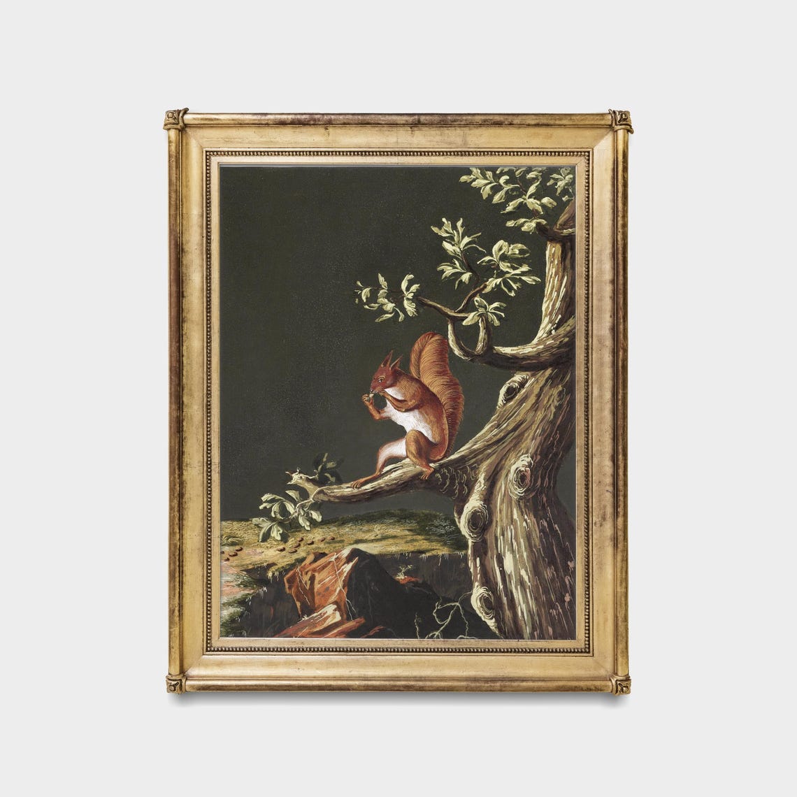 Red Squirrel on Gnarled Tree Branch Night Moody Wildlife Poster - Image 5