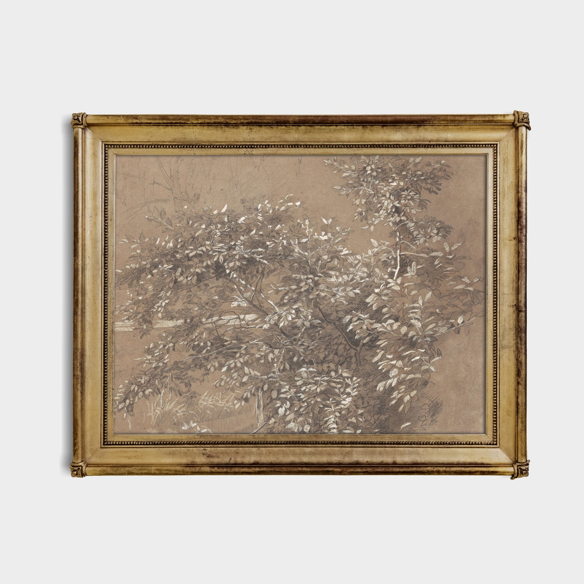 Leafy Tree Sepia Ink Sketch Botanical Study Vintage Drawing Poster - Image 3