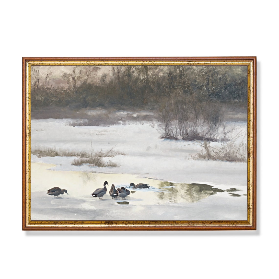 Ducks Standing on a Partly Frozen Winter Pond at Dusk Poster