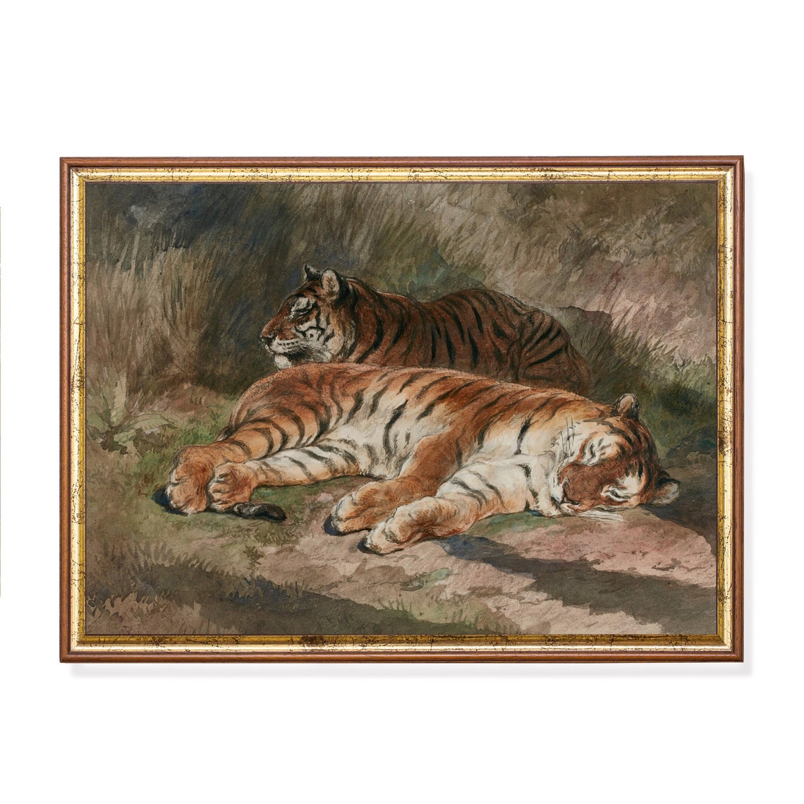 Two Tigers at Rest in the Warm Sun-Dappled Jungle Grass Poster