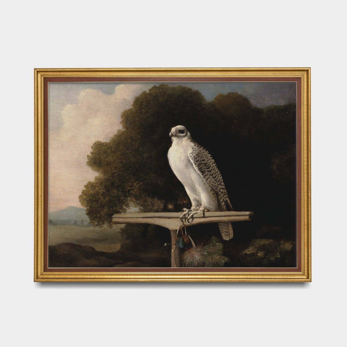 Vintage Falcon Art Print, Rustic Farmhouse Decor - Image 5
