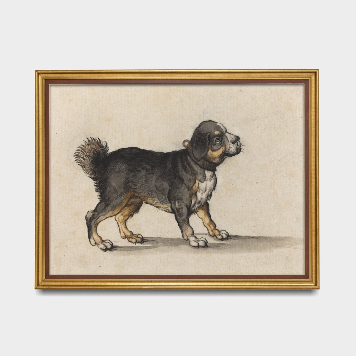 Black and Tan Puppy Standing Sideways in a Profile Study Poster - Image 3