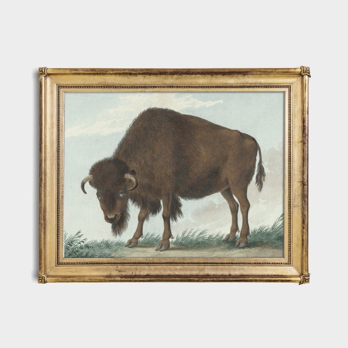 American Bison Standing in Tall Grass Vintage Wildlife Poster - Image 2