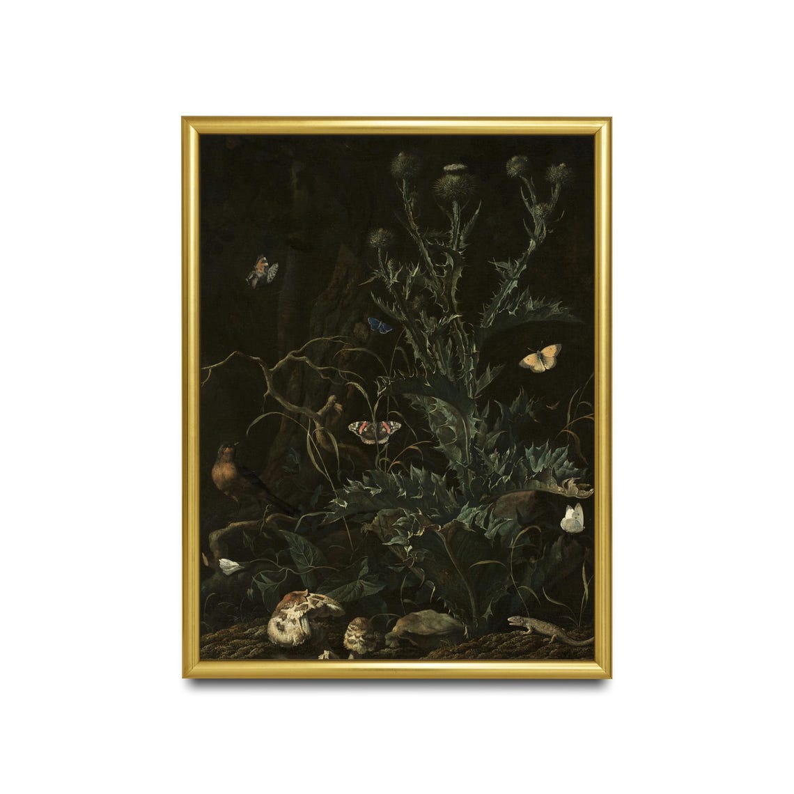 Dark Forest Floor with Thistles Butterflies and Moth Still Life Poster - Image 2