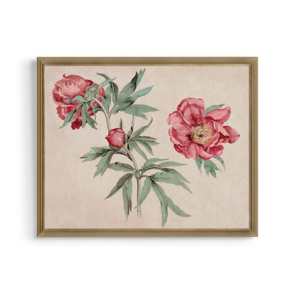 Vintage Peonies Still Life, Farmhouse Floral Art Print