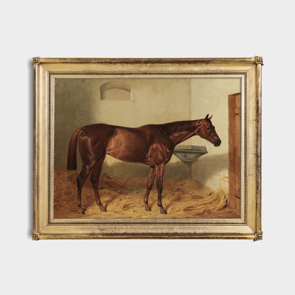 Bay Horse Standing in a Sunlit Stable Equestrian Portrait Poster - Image 3