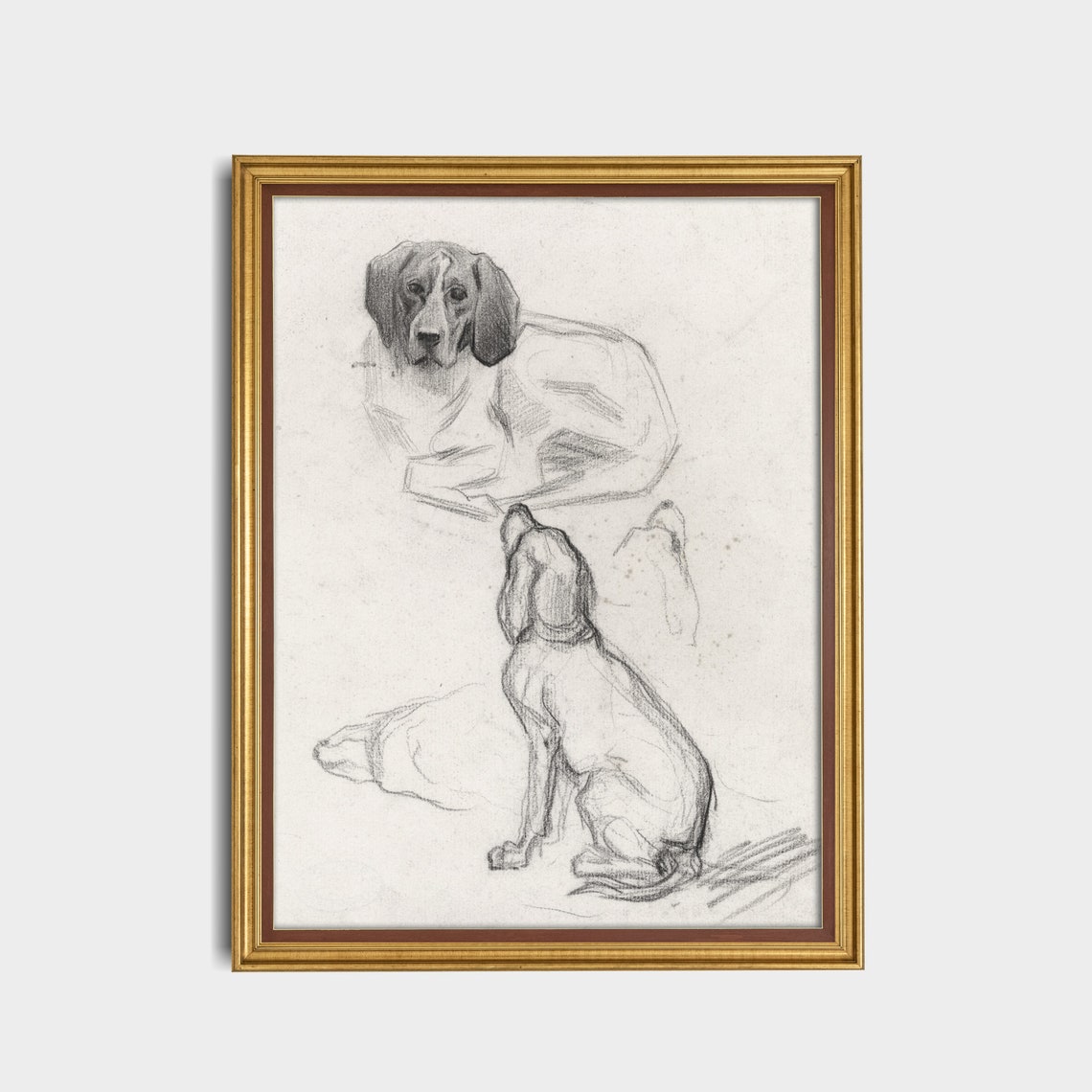 Hound Dog Study Pencil Sketches Antique Animal Drawing Wall Art - Image 2