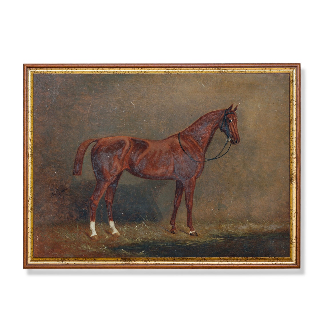 Chestnut Horse Standing in Profile Classic Sporting Art Poster
