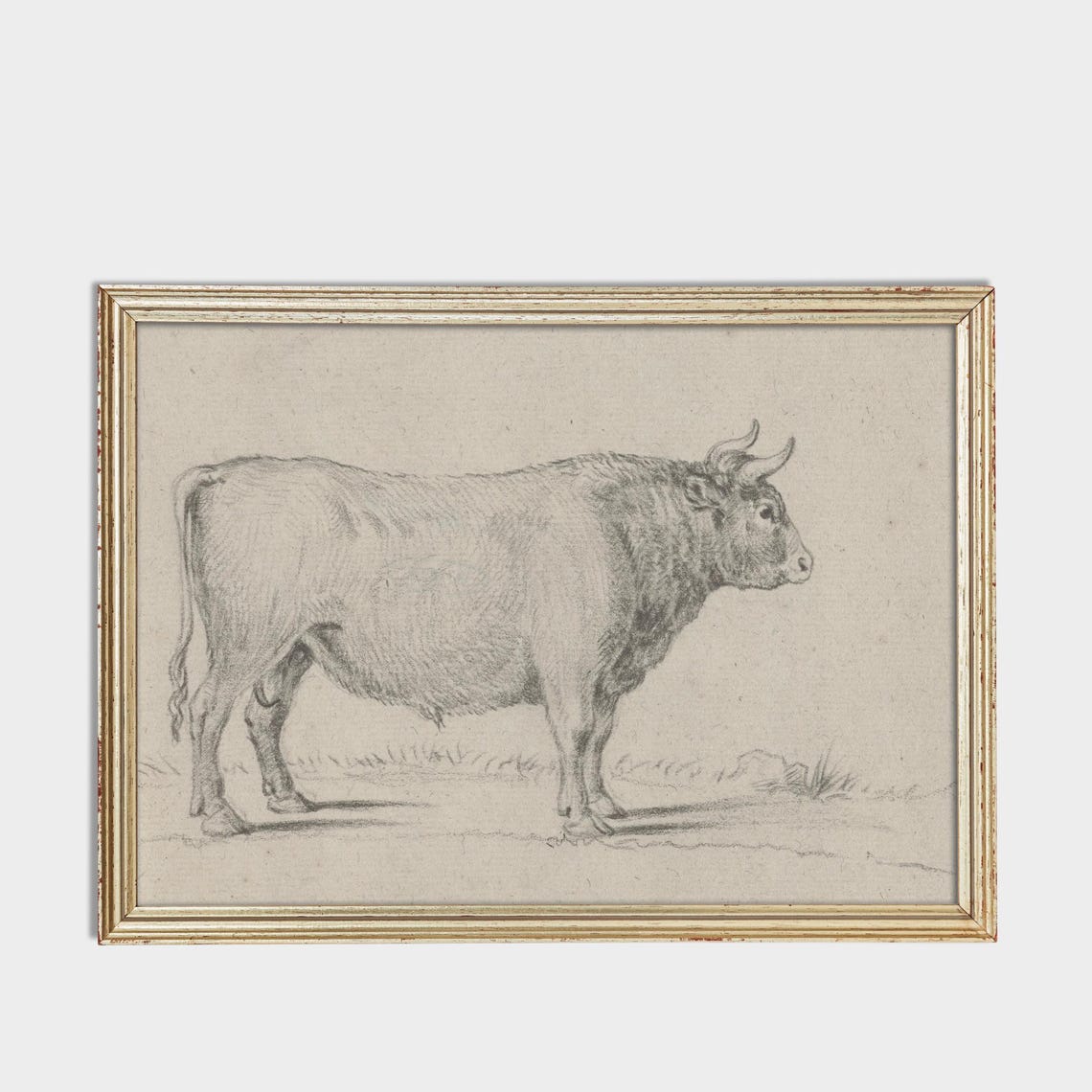 Standing Bull in Profile Antique Vintage Graphite Sketch Poster - Image 3
