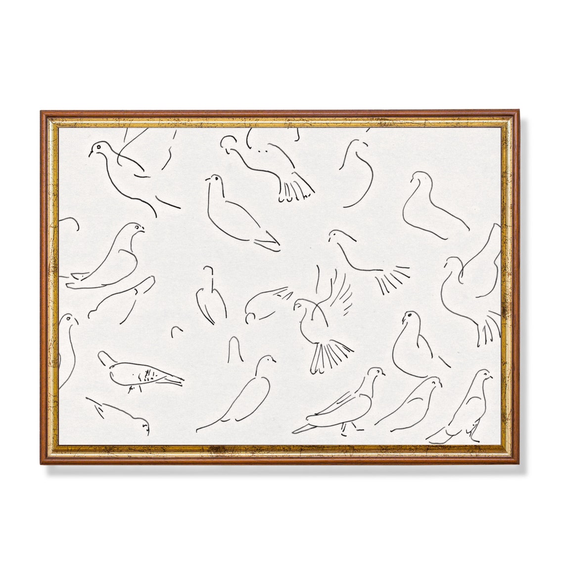 Pigeon Studies Antique Bird Sketch Minimalist Line Drawing Poster