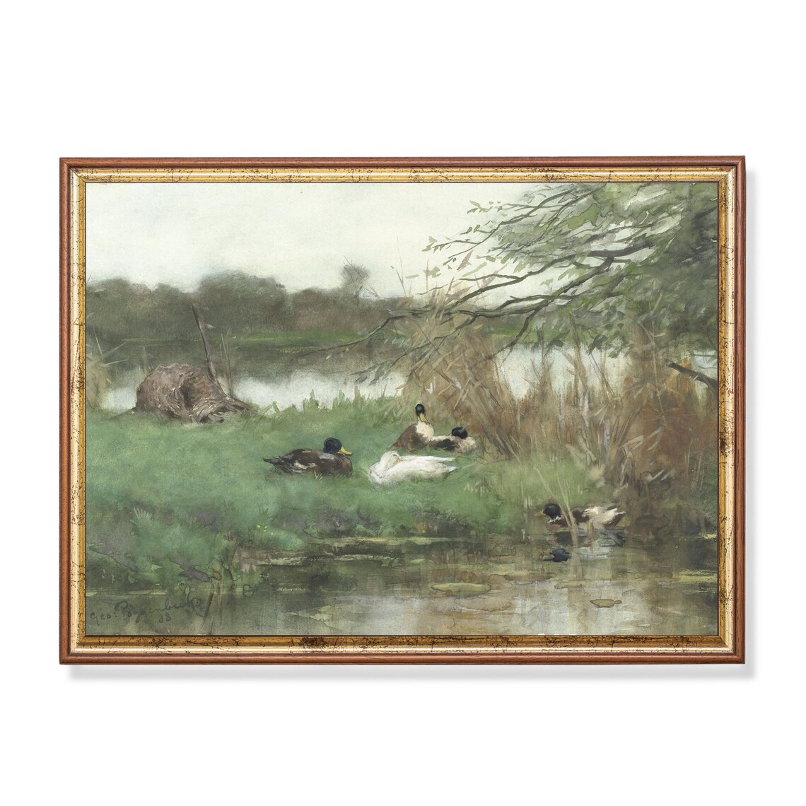 Mallard Ducks Resting Reedy Pond Bank Watercolor Bird Art Poster