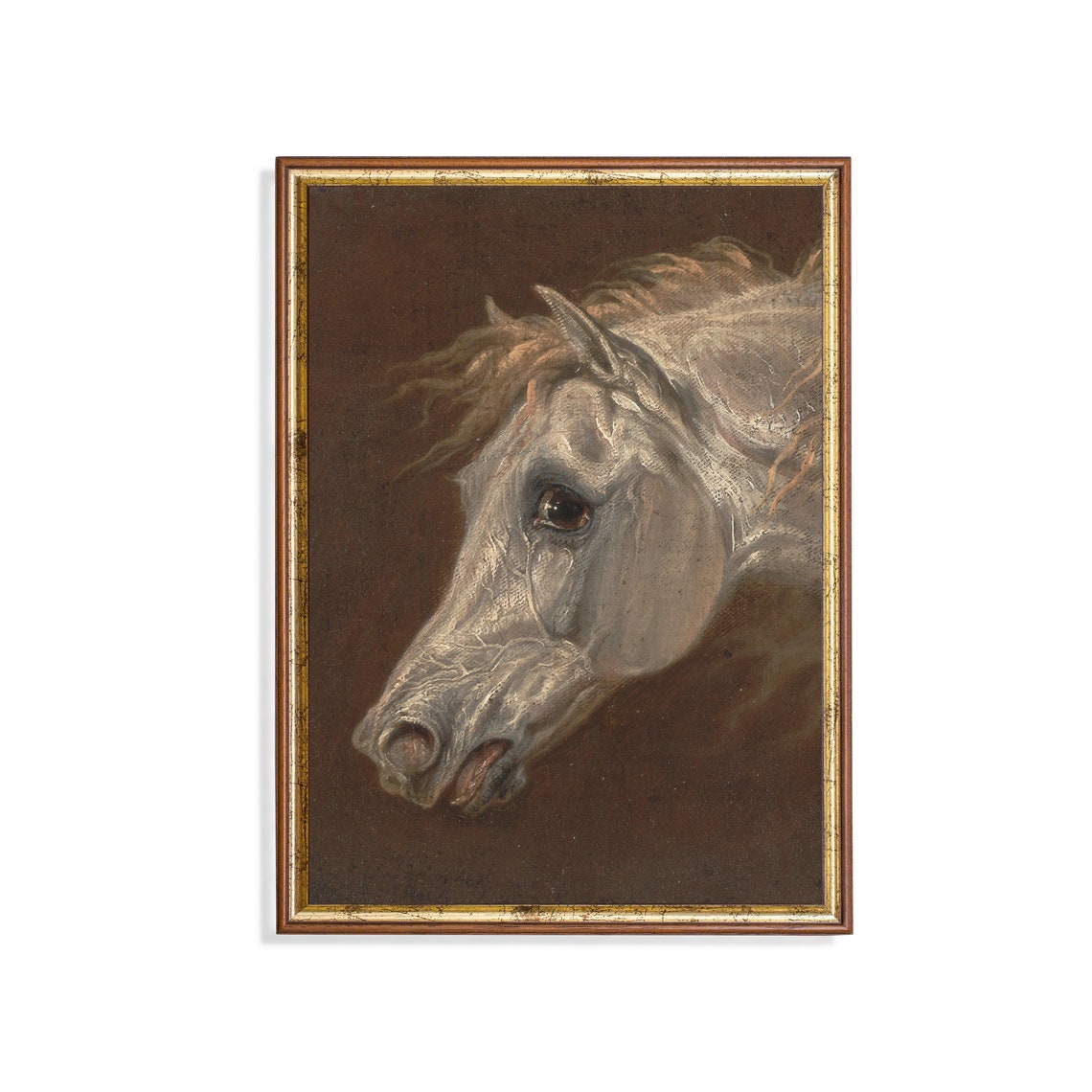 Dramatic Vintage Study of a White Horse Head on a Dark Brown Poster