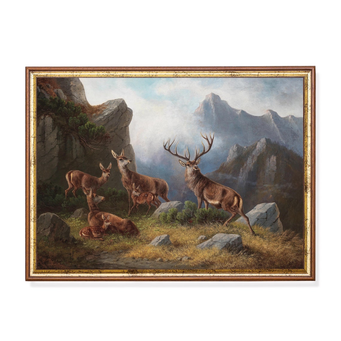 Deer Herd with a Stag in an Alpine Mountain Valley Scene Poster