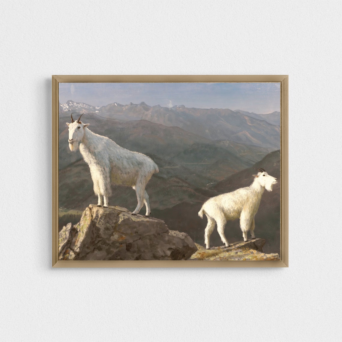 Two White Mountain Goats Standing on a Rocky Summit Alpine Poster - Image 2
