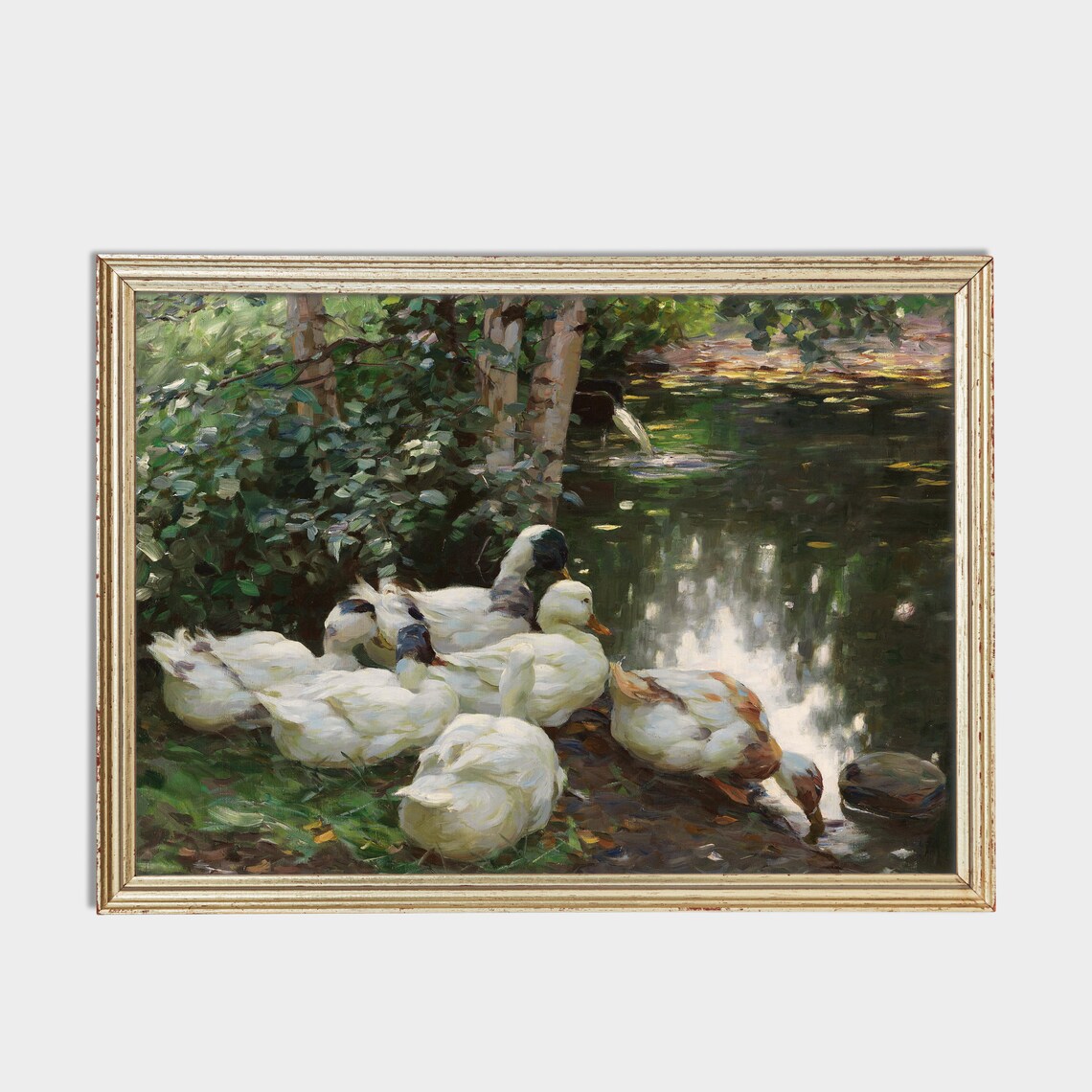 White Ducks Gathered at the Edge of a Shaded Woodland Pond Poster - Image 2