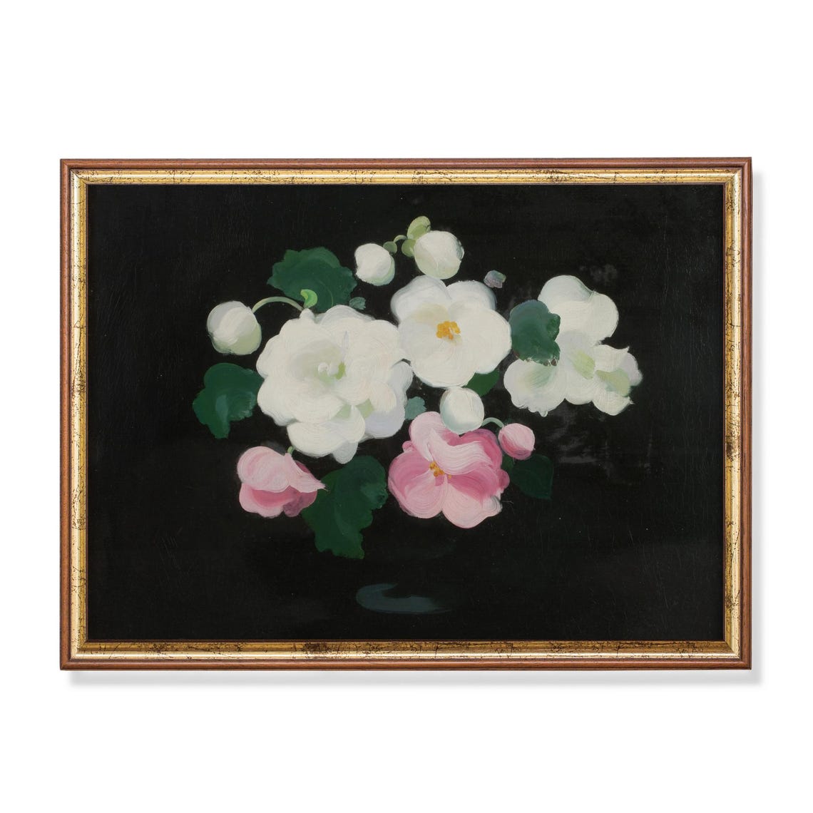 White Pink Wild Roses Black Background Vintage Floral Art Poster