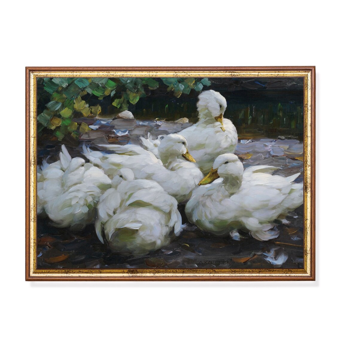 Vintage Ducks Antique Bird Print, Farmhouse Decor