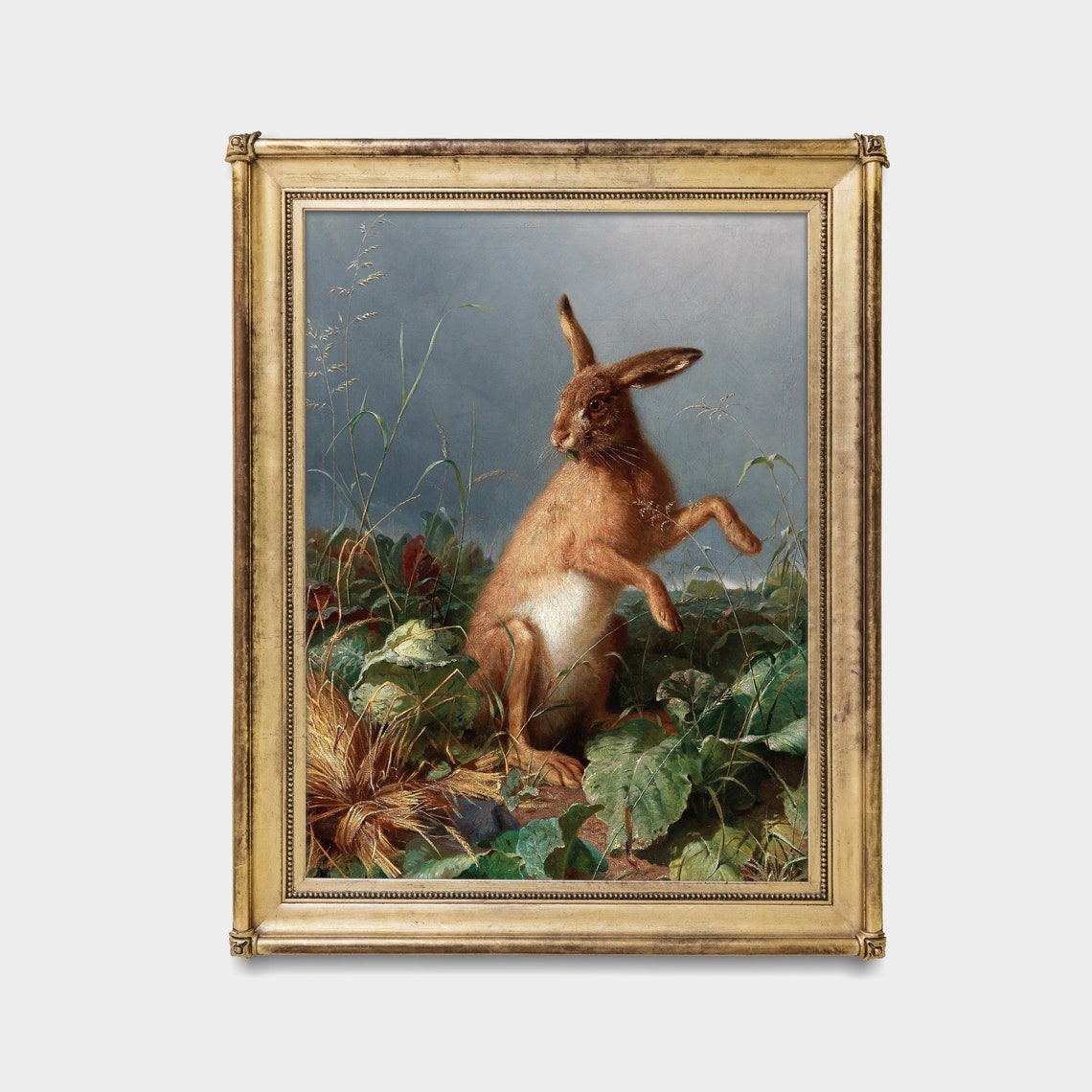 Brown Hare Standing Alert in Tall Grass Vintage Wildlife Poster - Image 2