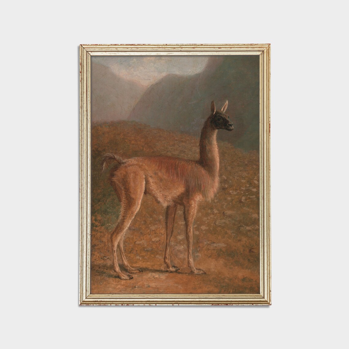 Solitary Guanaco Standing in a Misty Mountain Landscape Poster - Image 2