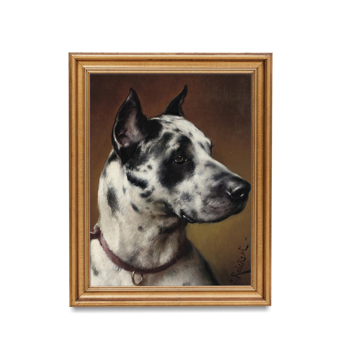 Great Dane Portrait Harlequin Spotted Dog Vintage Pet Poster - Image 2