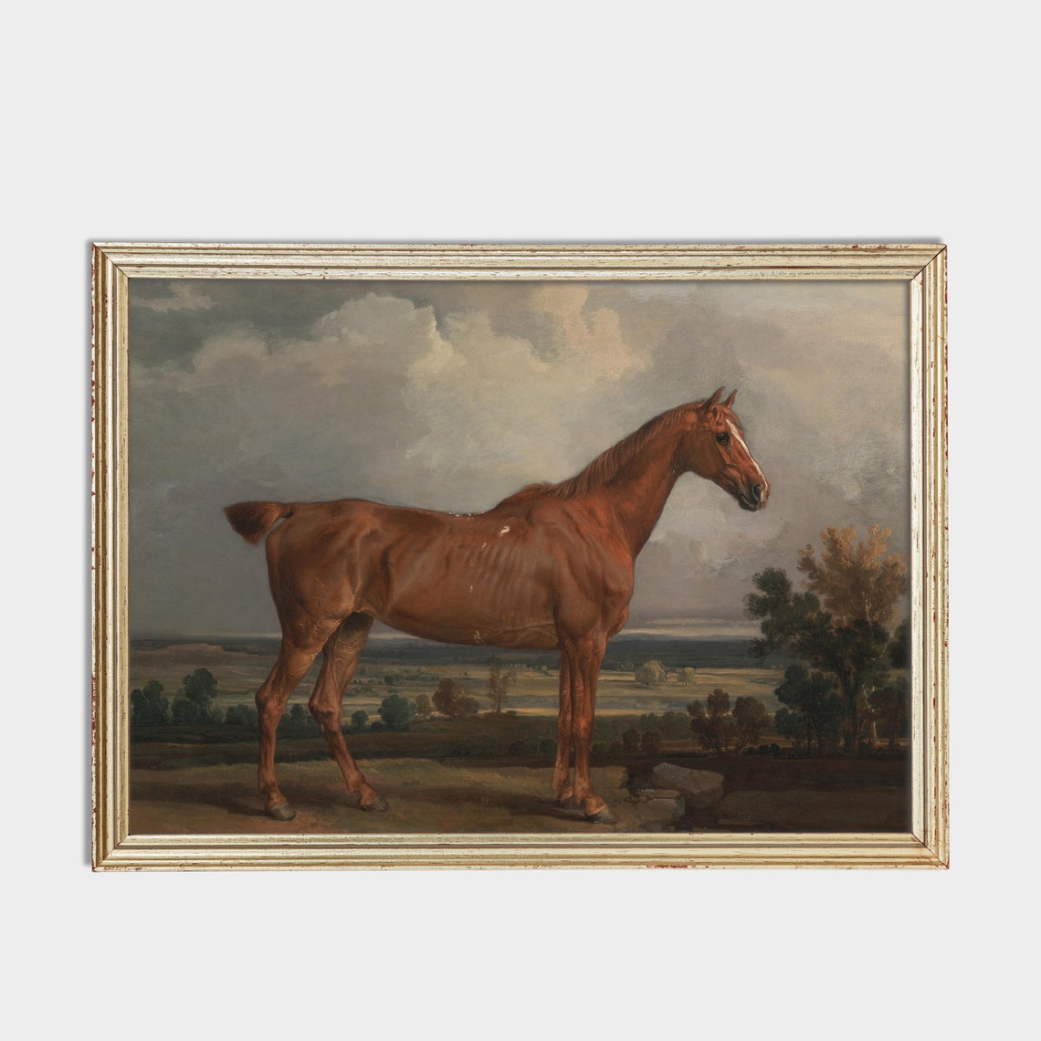 Chestnut Horse Standing Proudly Under a Stormy Cloudy Sky Poster - Image 2