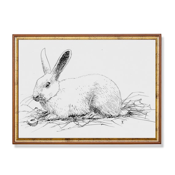 Resting Rabbit in Hay Black and White Pen and Ink Sketch Poster