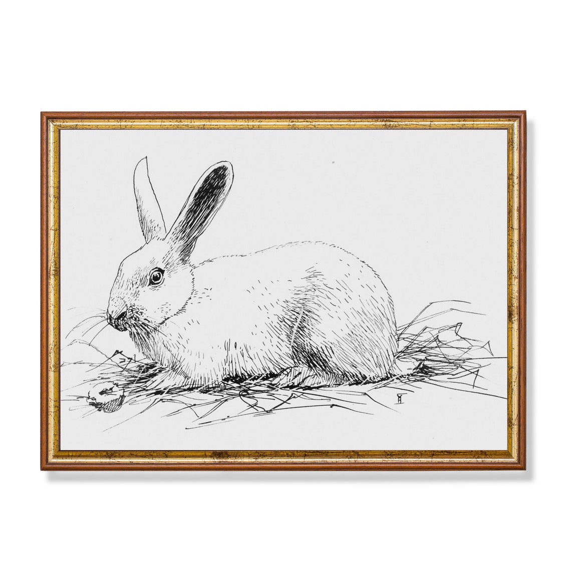 Resting Rabbit in Hay Black and White Pen and Ink Sketch Poster
