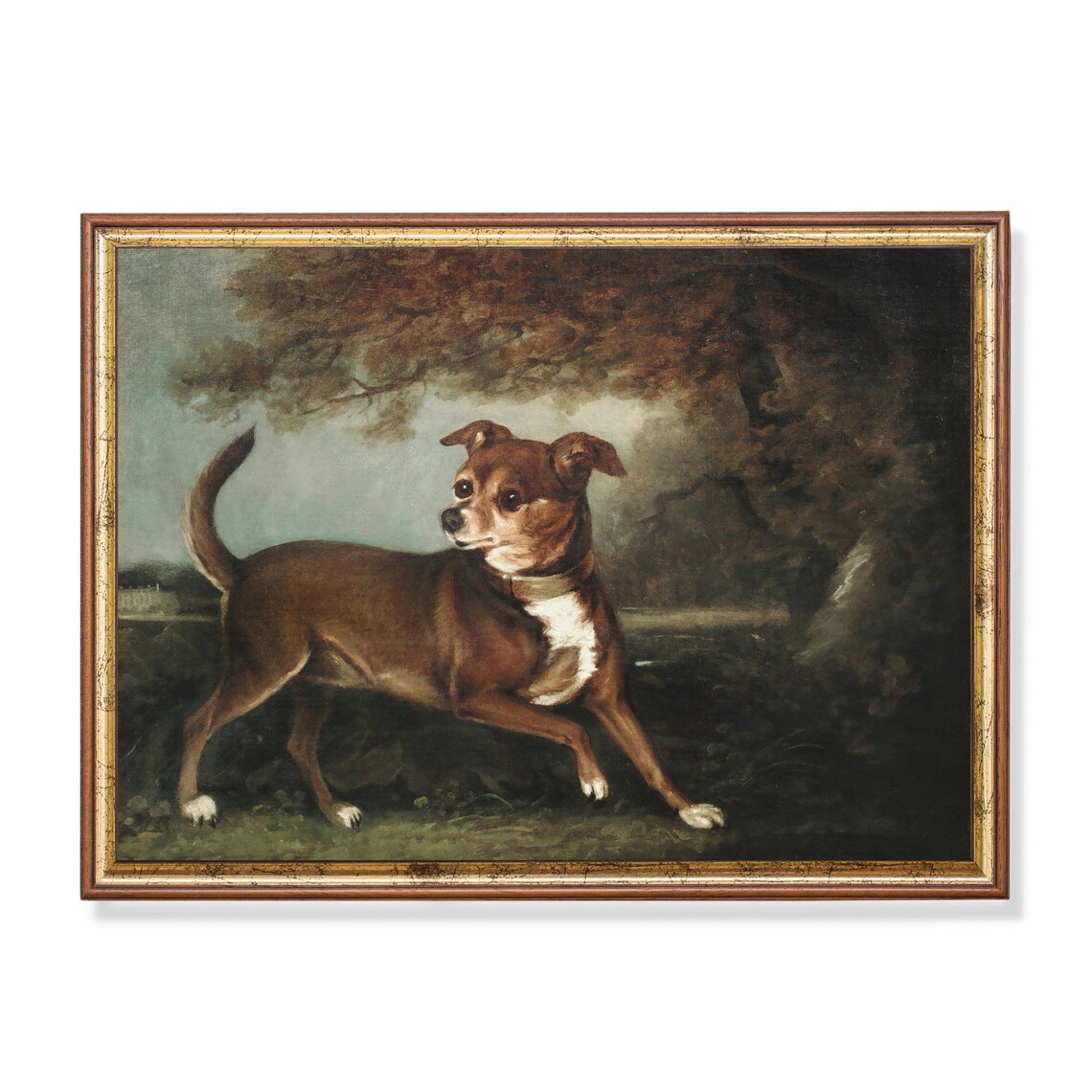 Brown Terrier Dog In Woodland Vintage Animal Portrait Painting Poster