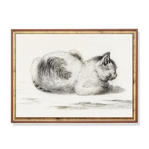 Sleeping Cat Curled Up Tight Vintage Graphite Sketch Art Poster