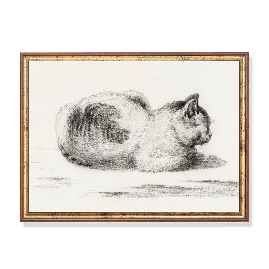 Sleeping Cat Curled Up Tight Vintage Graphite Sketch Art Poster
