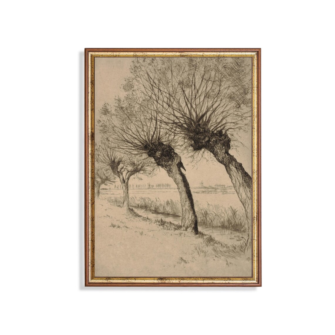 Printed And Shipped Vintage Tree Sketch Drawing Antique Sketch Print Neutral Art Forest Drawing Farmhouse Decor Physical Prints