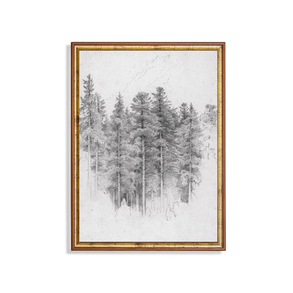 Study Of A Trees Sketch Drawing Vintage Wall Art Vertical Art Neutral Popular Prints Antique Drawing