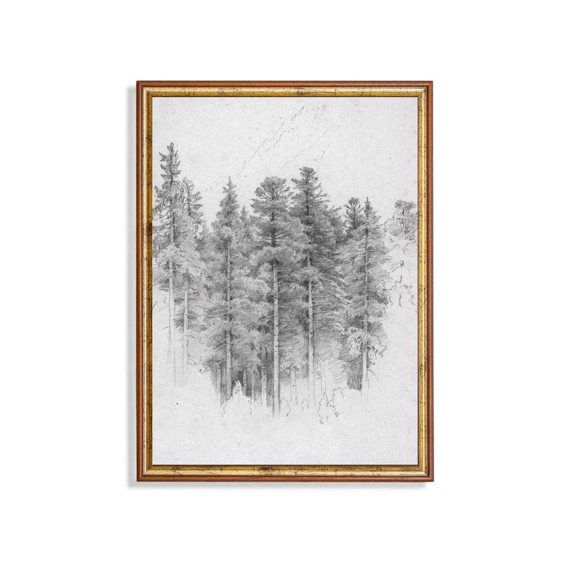 Study Of A Trees Sketch Drawing Vintage Wall Art Vertical Art Neutral Popular Prints Antique Drawing