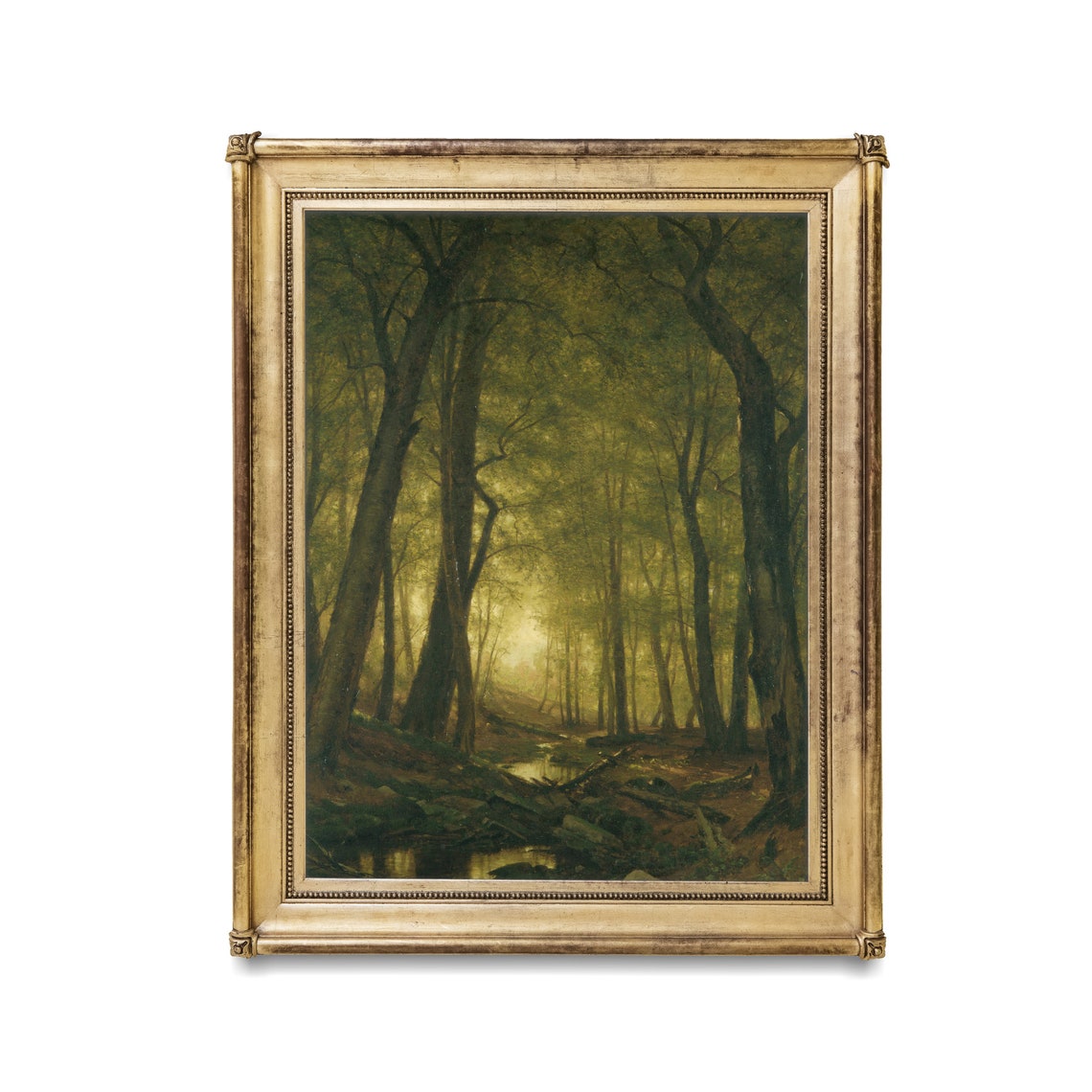 Sunlight Through Tall Trees Over a Forest Stream Antique Poster - Image 2