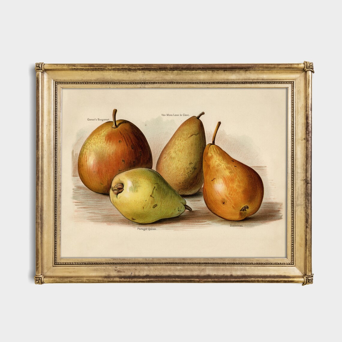 Vintage Pears Antique Fruits Art Print, Farmhouse Kitchen - Image 2